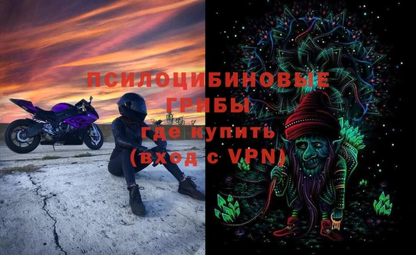ГАЛЛЮЦИНОГЕННЫЕ ГРИБЫ Алексеевка