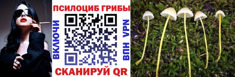 даркнет сайт  Ува  Псилоцибиновые грибы MAGIC MUSHROOMS 